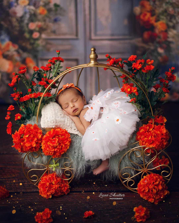 Newborn Princess Cart / Autumn Cascade : Baby Props