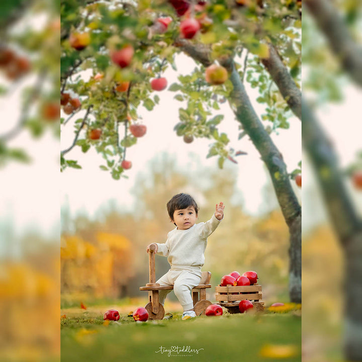 Cycle With Baby Wagon : Baby Props