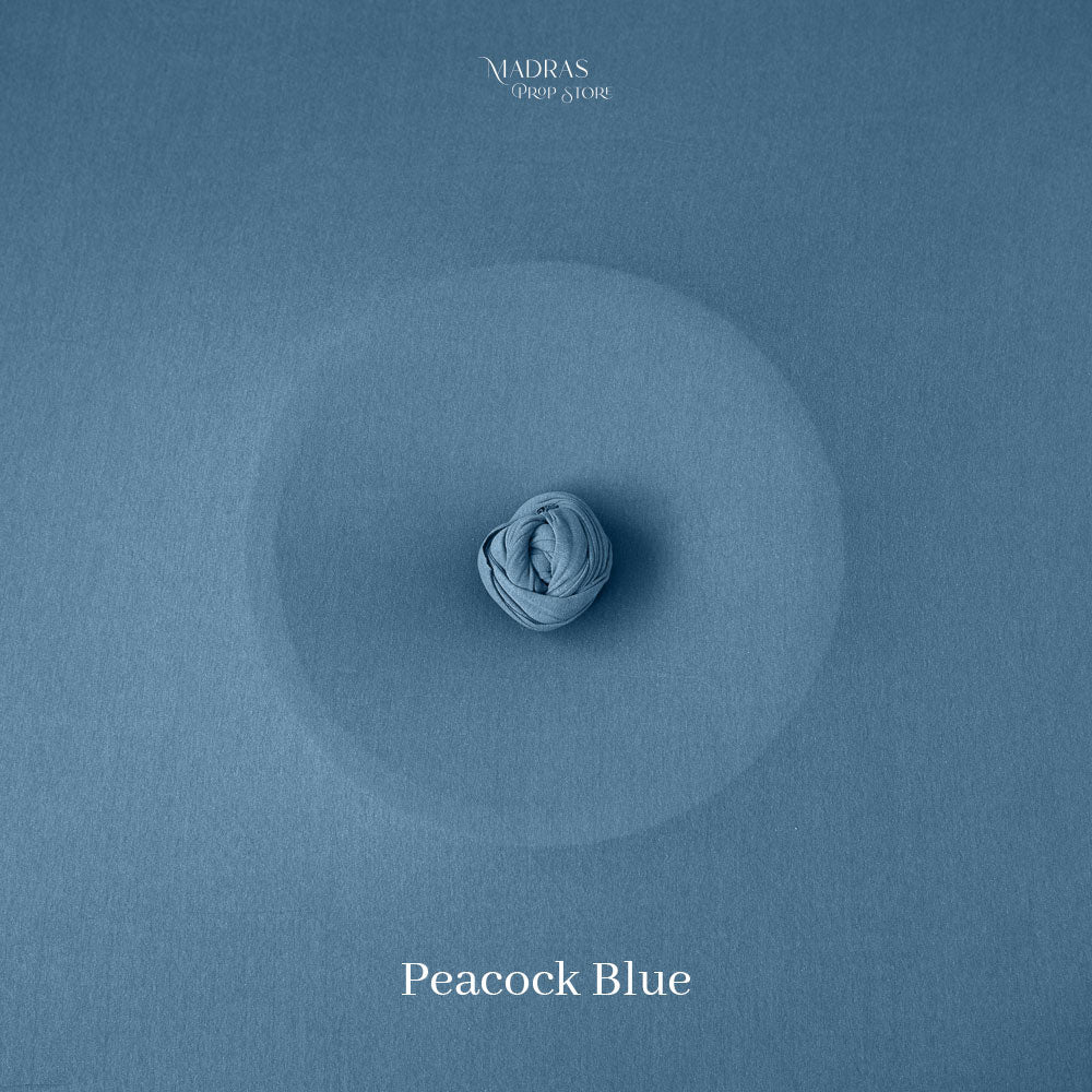 Bean Bag Set (Peacock Blue) : Baby Props