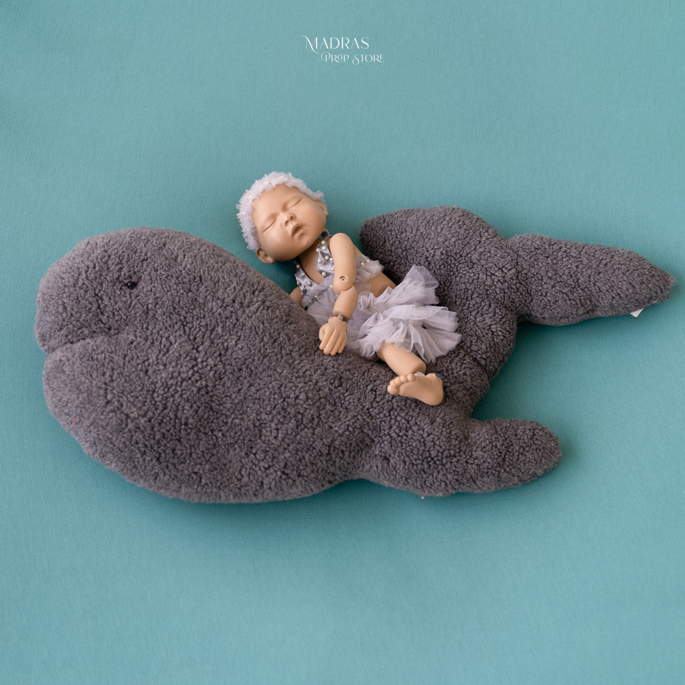 Mini Set 11 Bean bag Backdrop Outfit Whale Pillow