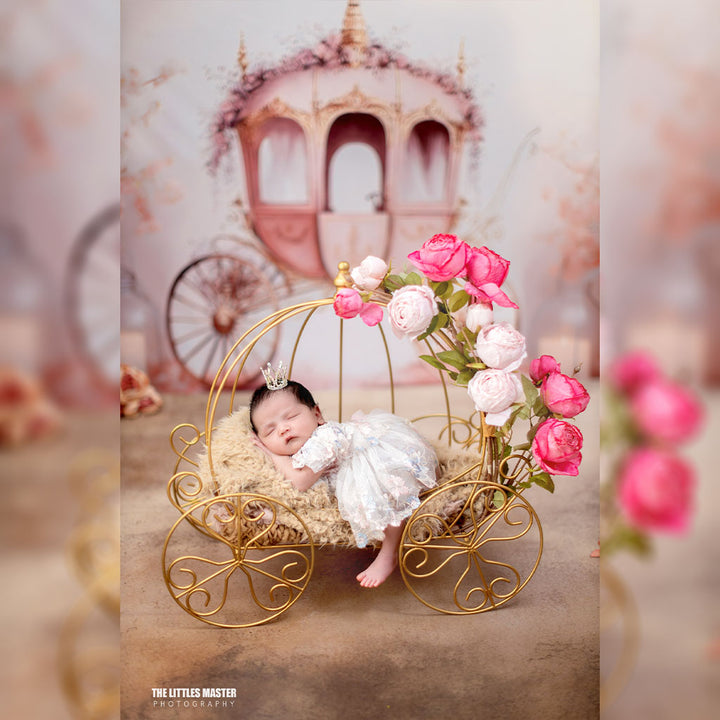 Newborn Princess Cart : Baby Props