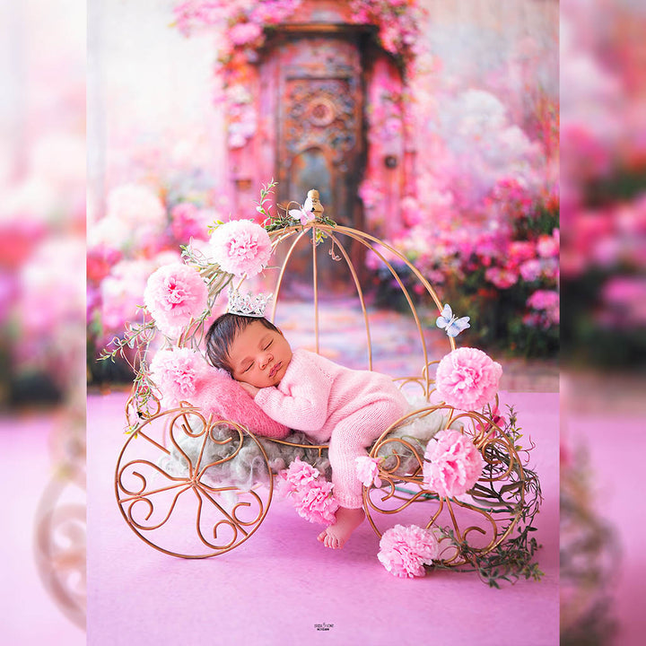 Newborn Princess Cart : Baby Props