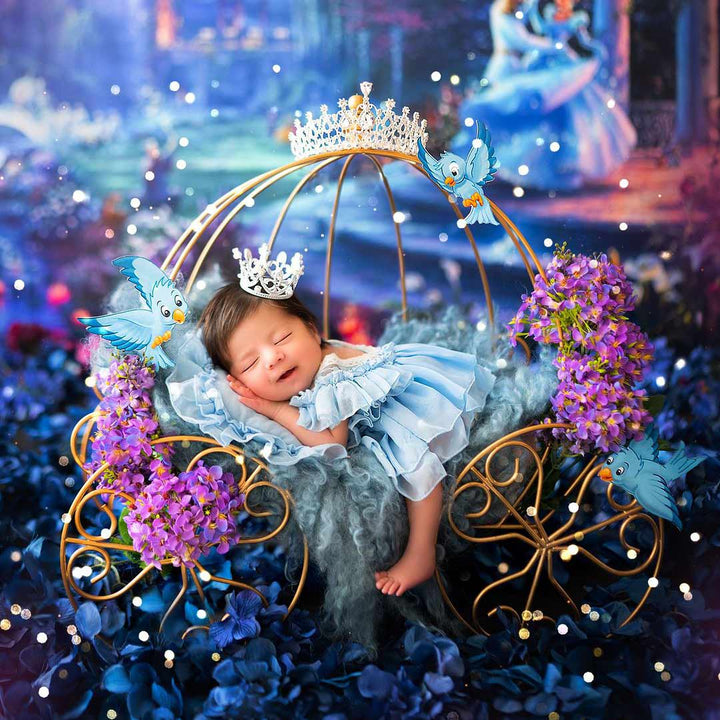 Newborn Princess Cart : Baby Props