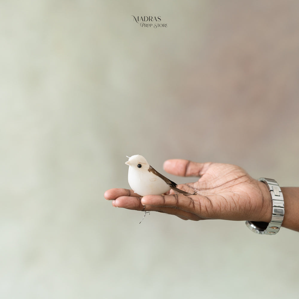 Sparrow | Height 4 cm : Baby Props
