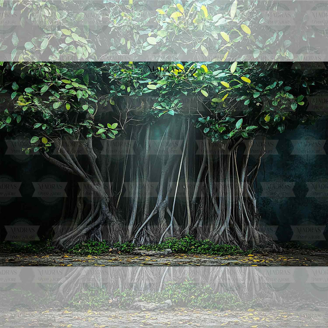 Under The Banyan Tree : Baby Backdrops