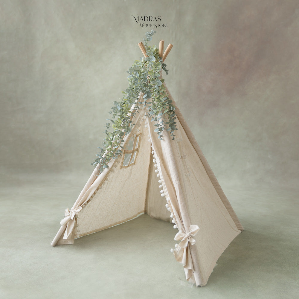 Window Tent : Baby Props