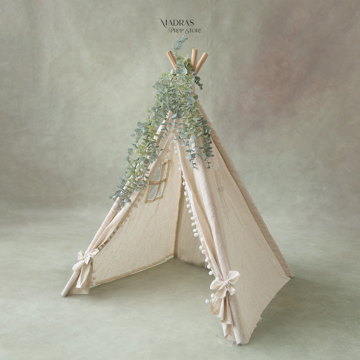Window Tent : Baby Props