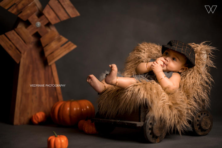 Baby Windmill : Baby Props