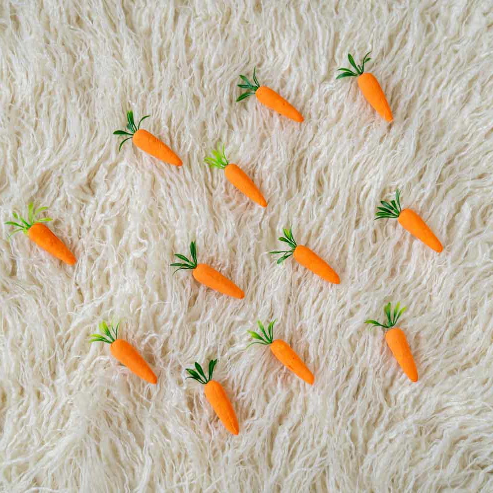 Carrots Toy Set Of 10 -Baby Props
