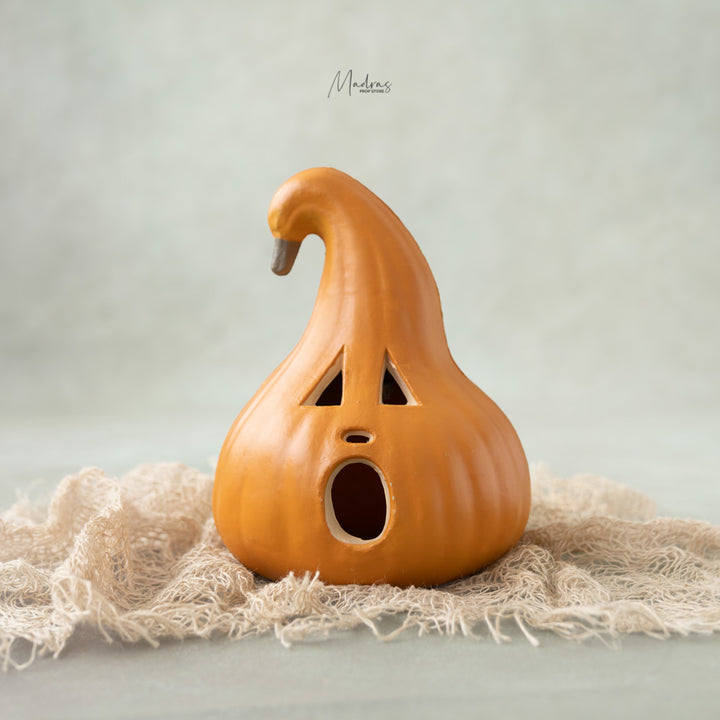 Halloween Pumpkins : Baby Props