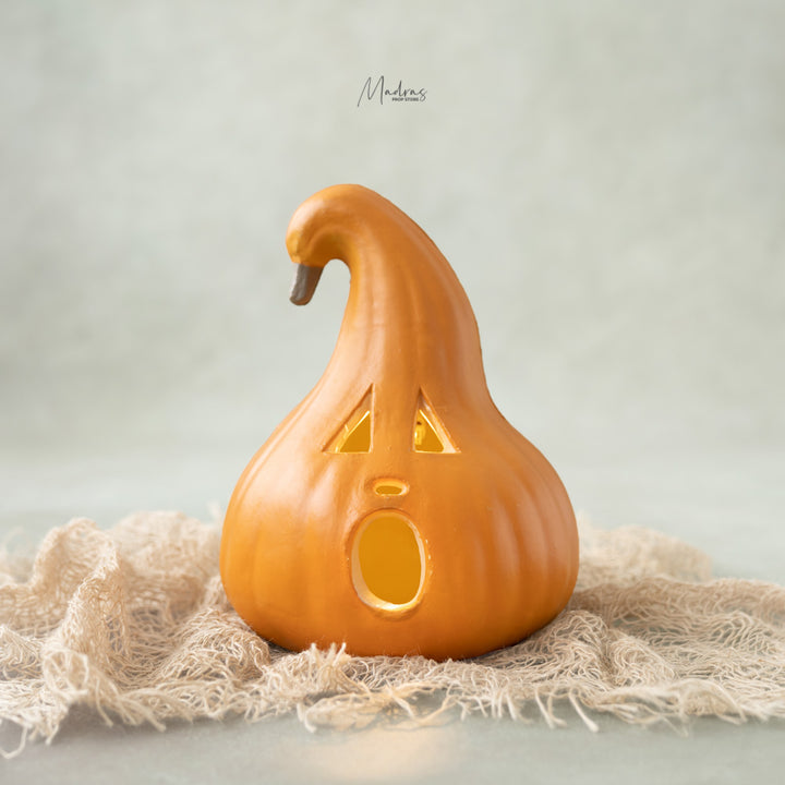 Halloween Pumpkins : Baby Props