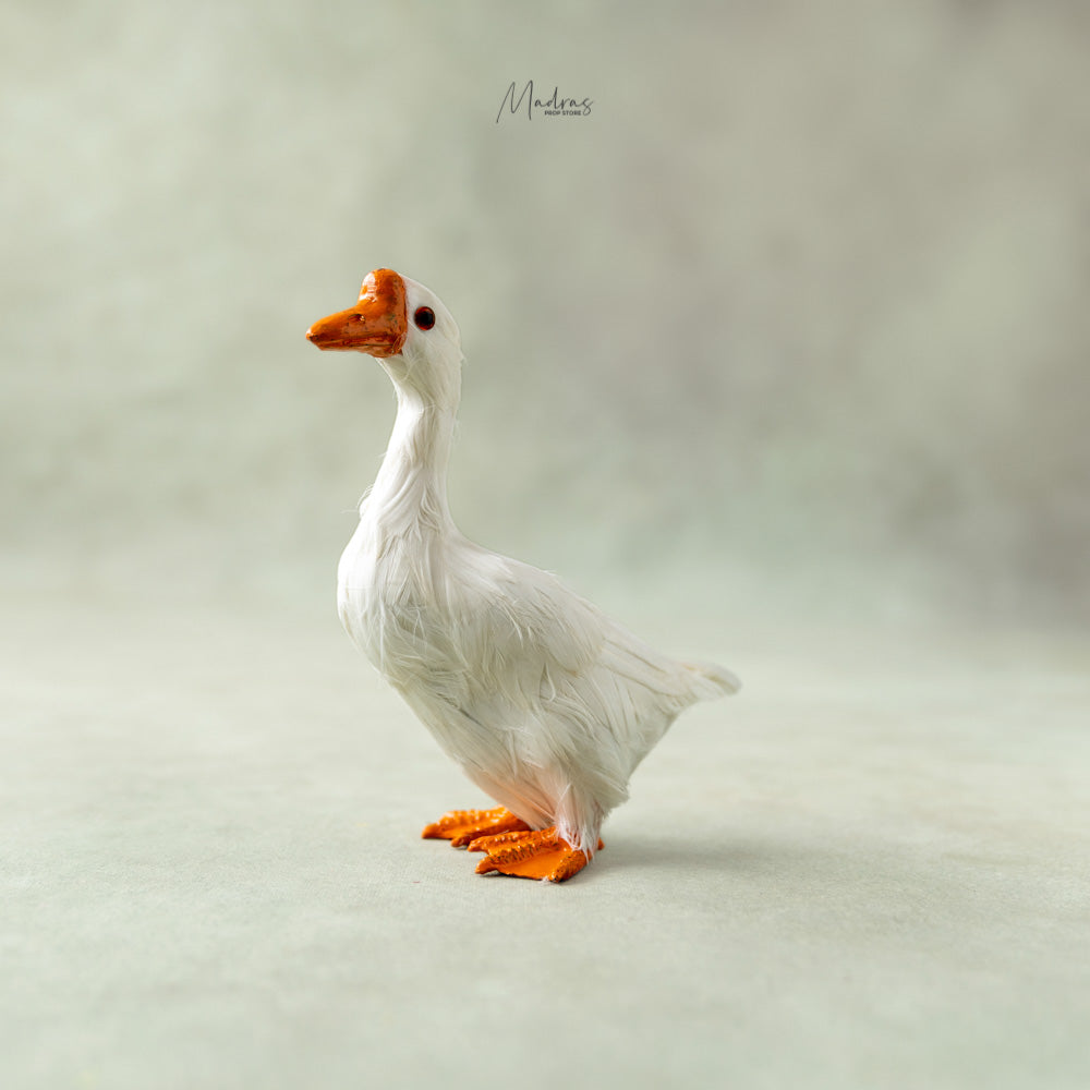 Realistic Farm Duck ( Big) - Baby props