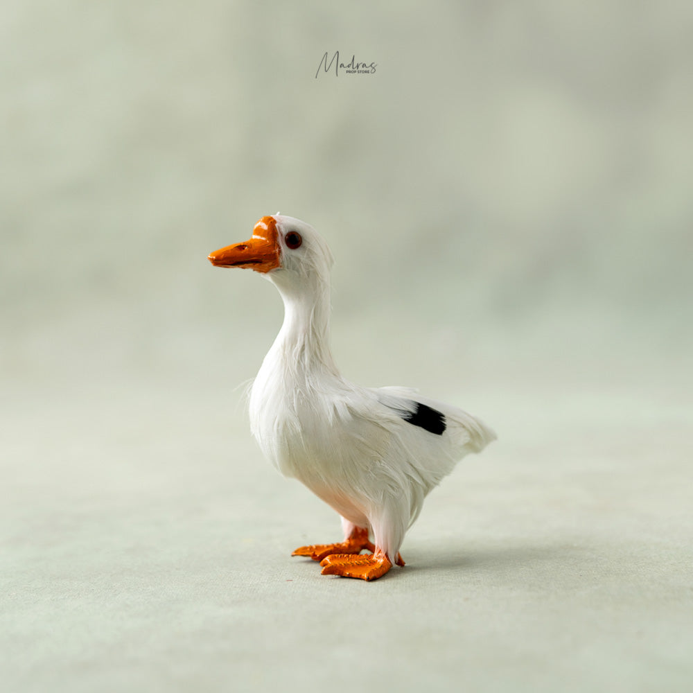 Realistic Farm Duck ( Small ) - Baby props
