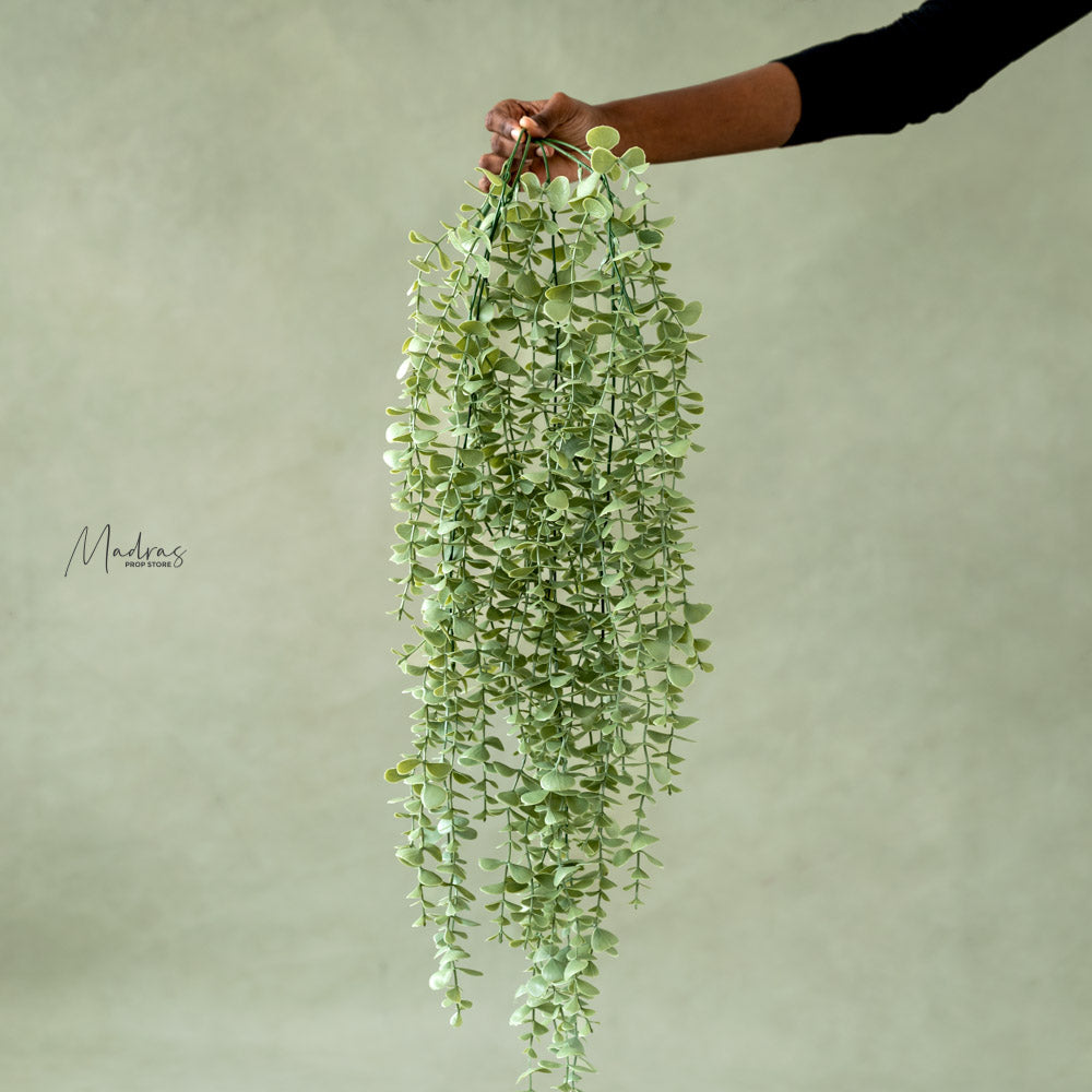 Frosty Foliage : Baby Props
