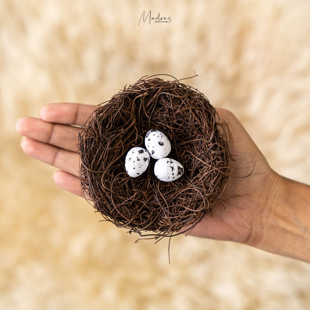 Bird Nest- Baby Props
