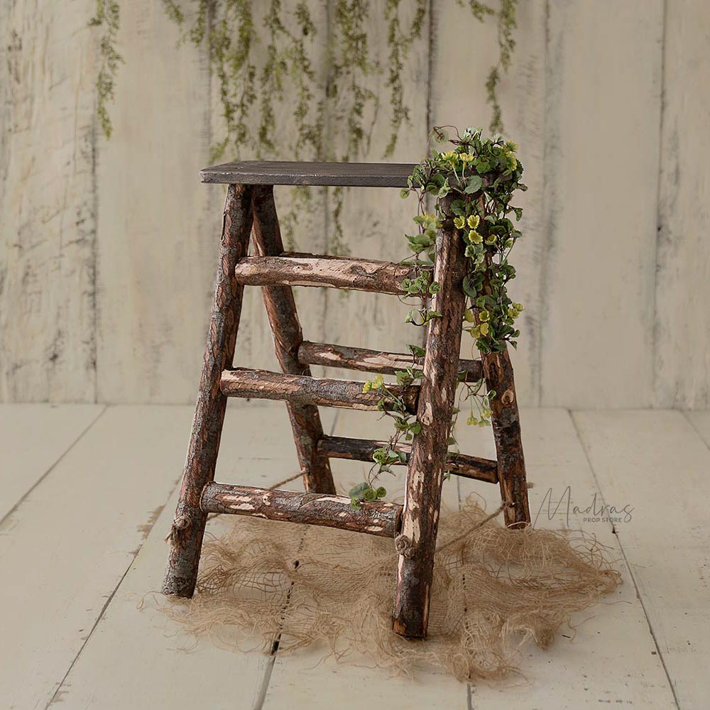 Rustic Log Ladder - Baby prop