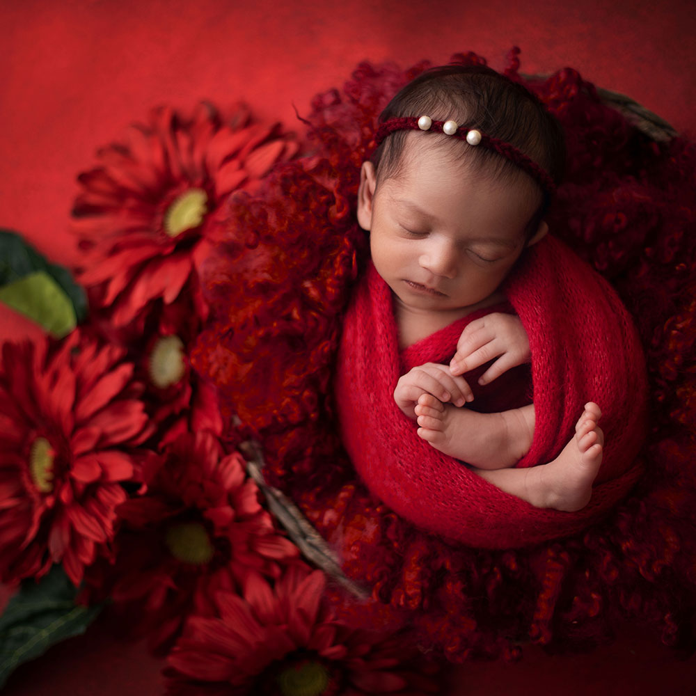 Santa Red : Baby Painted Backdrops