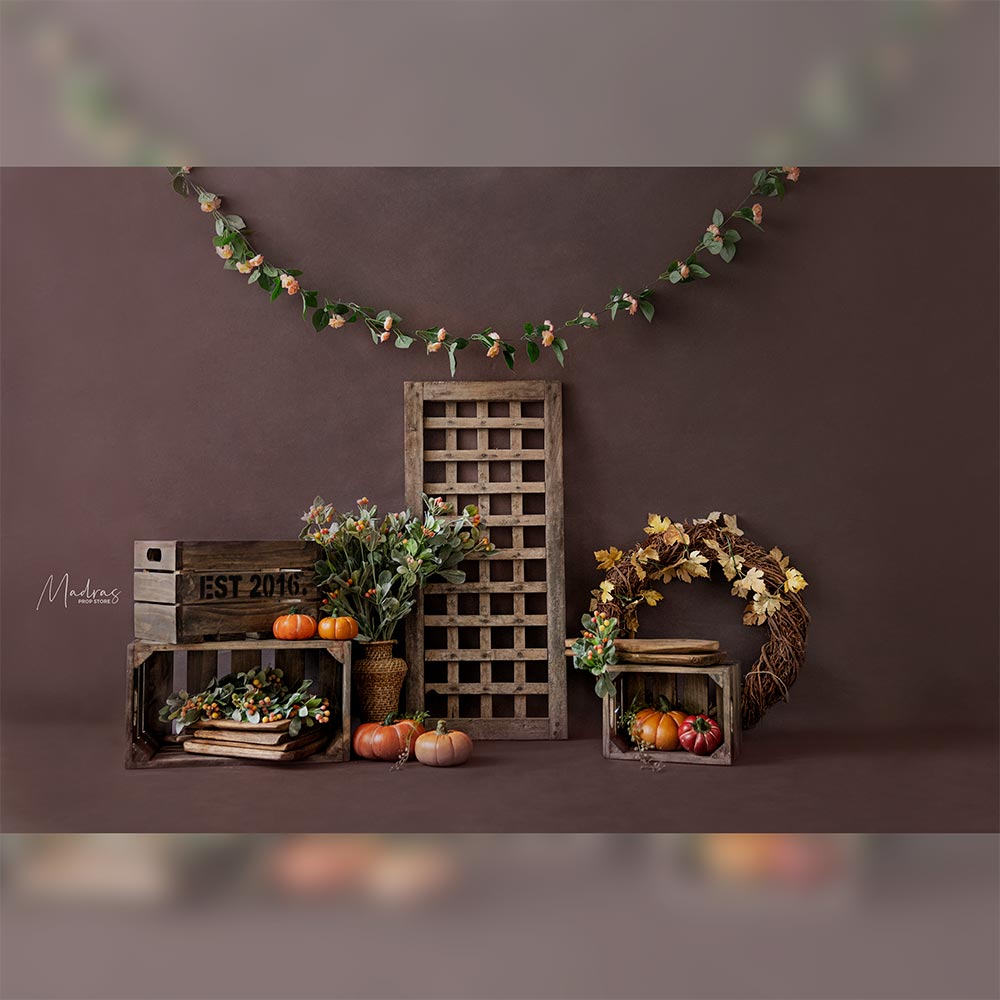 The Autumn with the Pumpkins - Baby Printed Backdrops
