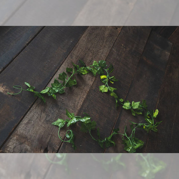 Ivy Twine : Baby Props