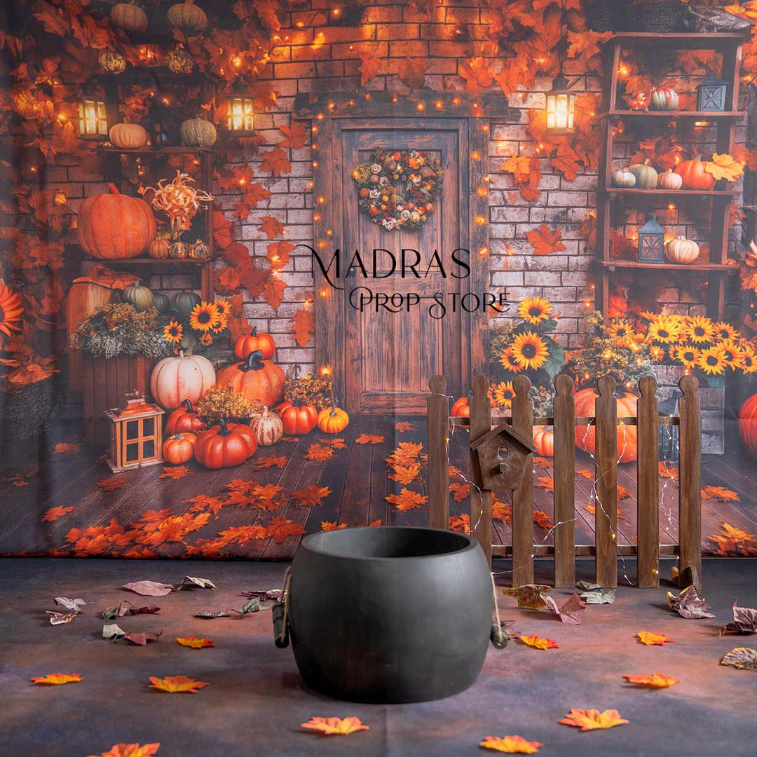 Setup - 0687 ( 11 sets ) : Baby Props