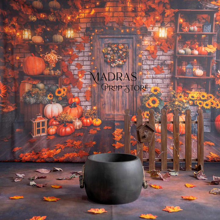 Setup - 0687 ( 11 sets ) : Baby Props