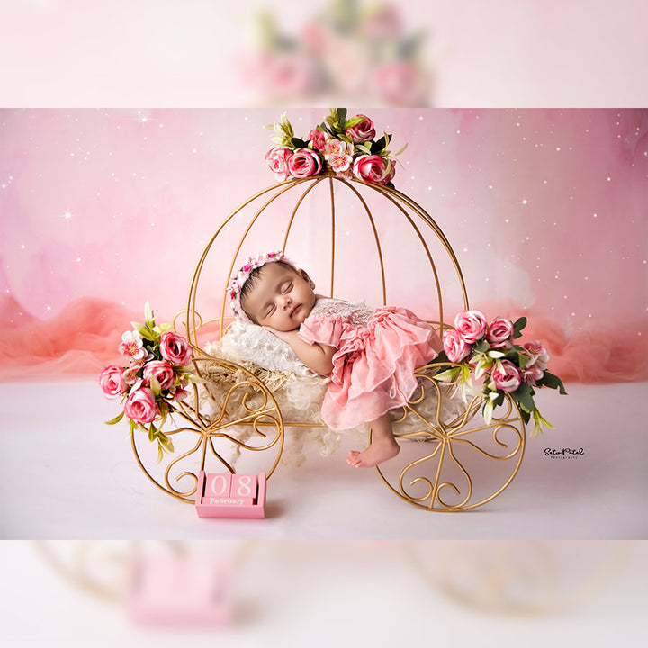 Newborn Princess Cart :  Baby Prop