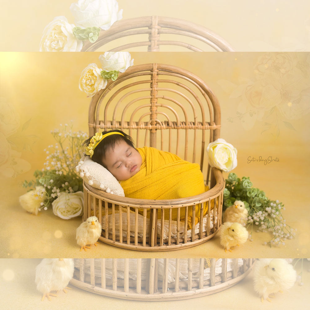 Rainbow Basket : Baby Props