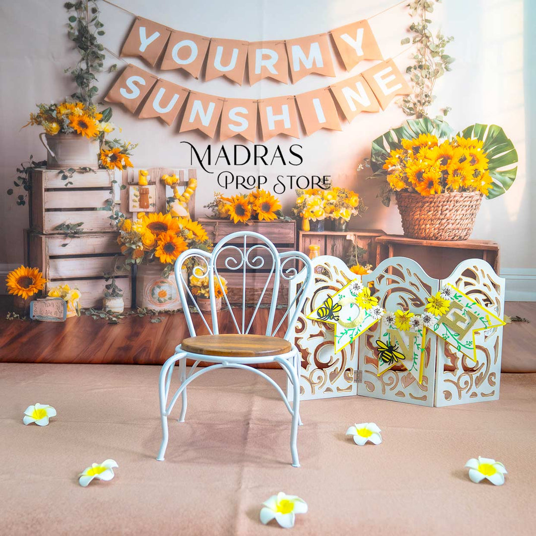 Setup - 0685 ( 16 sets ) : Baby Props