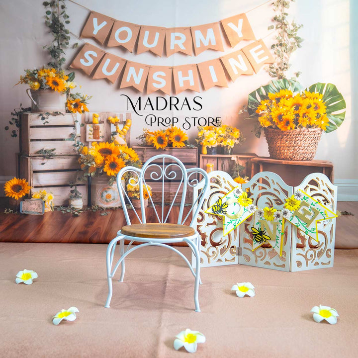 Setup - 0685 ( 16 sets ) : Baby Props