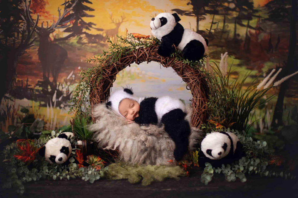 Panda Outfit For Newborn : Baby Props