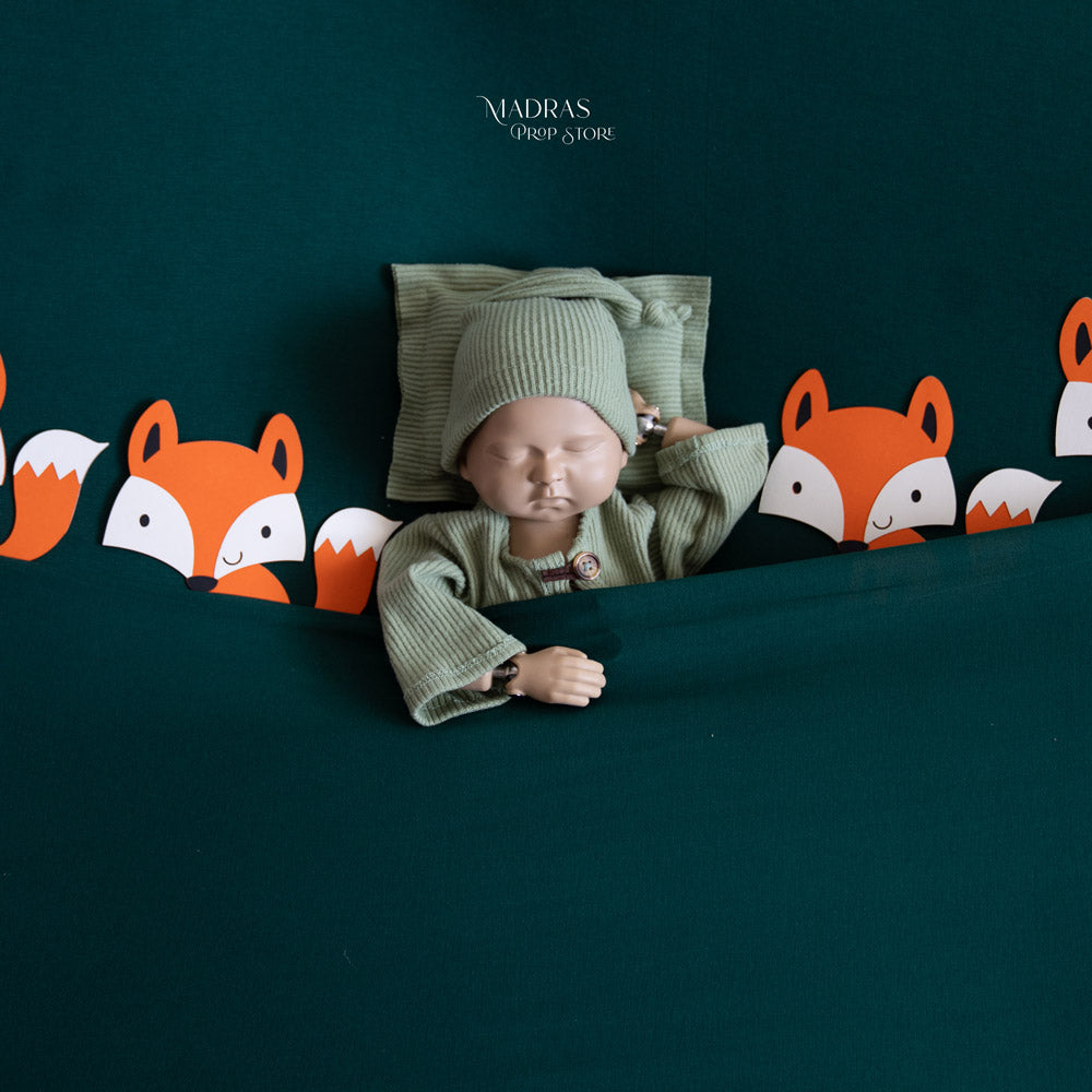 Fox Tales Set - B22