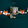 Fox Tales Set - B22