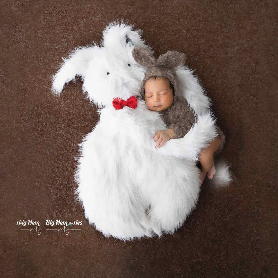 Bunny Soft Toy Pillow : Baby Props