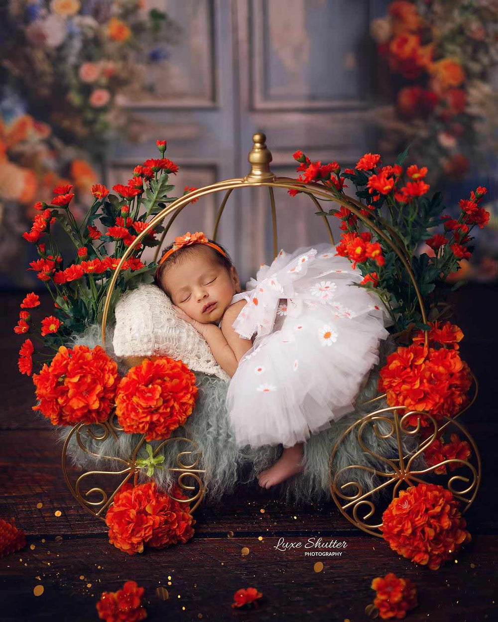 Newborn Princess Cart / Autumn Cascade : Baby Props