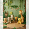 Amazon Forest - Baby Printed Backdrops