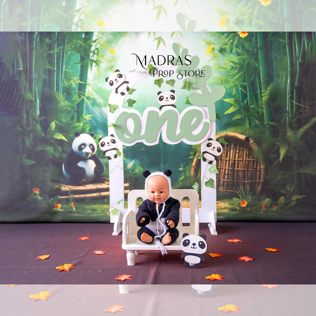 BLR Setup - 1 ( 5 sets ) : Baby Props