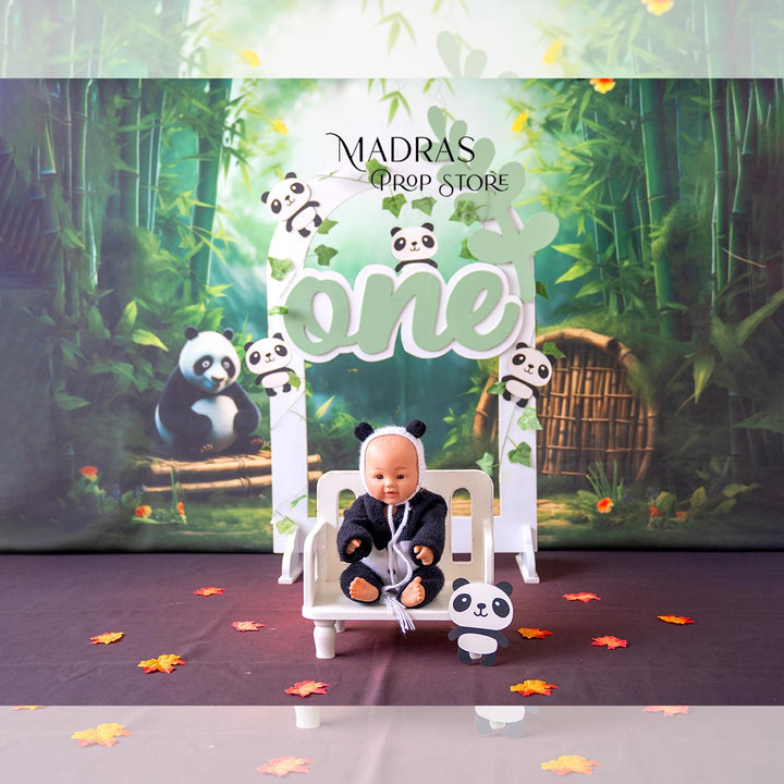 BLR Setup - 1 ( 5 sets ) : Baby Props