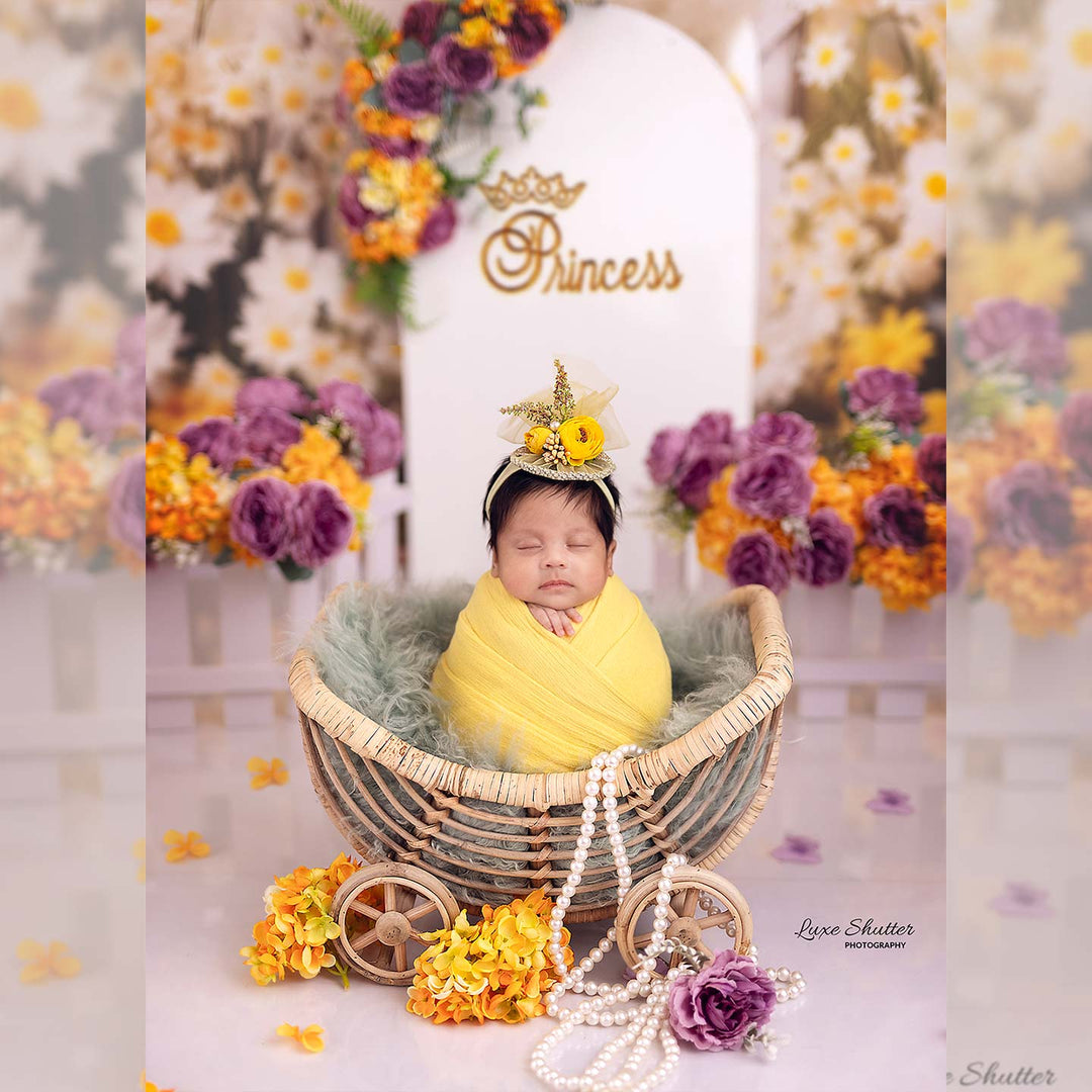 Bamboo U Stroller : Baby Props