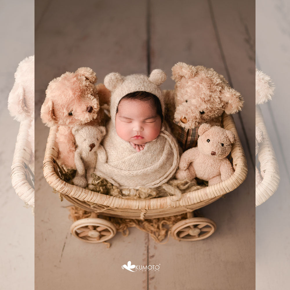 Bamboo U Stroller : Baby Props