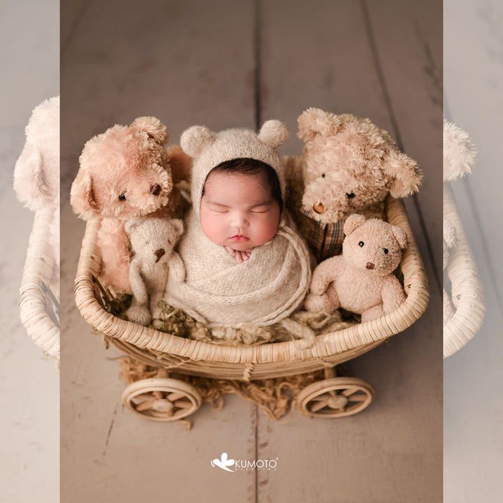 Bamboo U Stroller : Baby Props