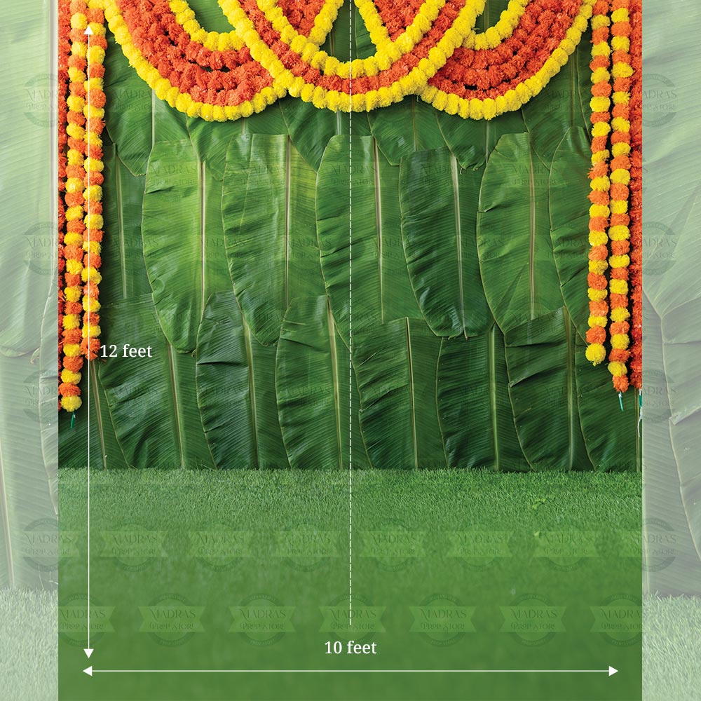 Banana Leaf Backdrop V0.1 : Maternity Backdrops