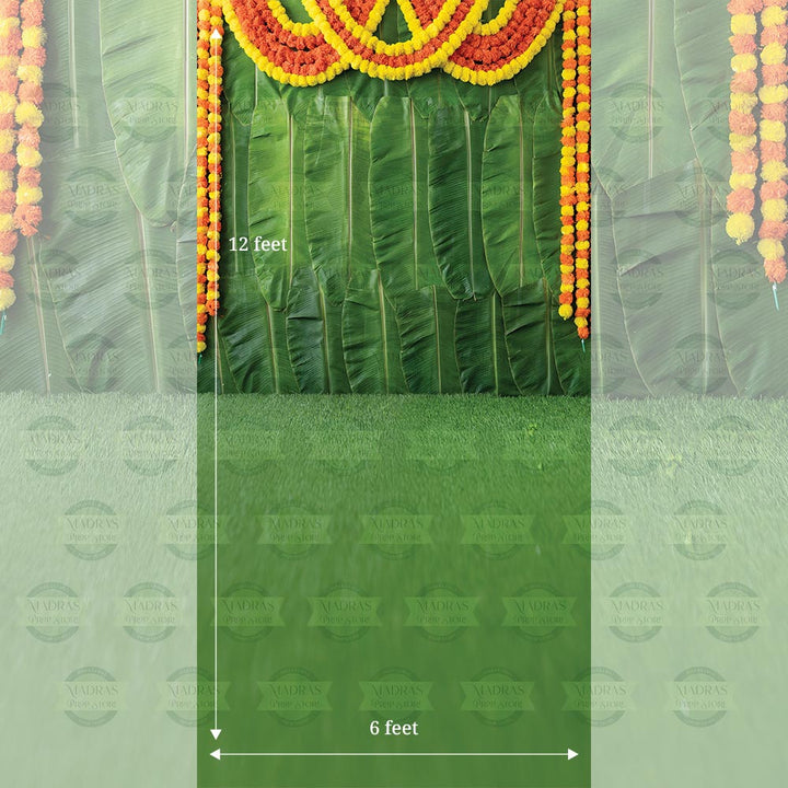 Banana Leaf Backdrop V0.1 : Maternity Backdrops