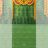 Banana Leaf Backdrop V0.1 - Maternity Backdrops