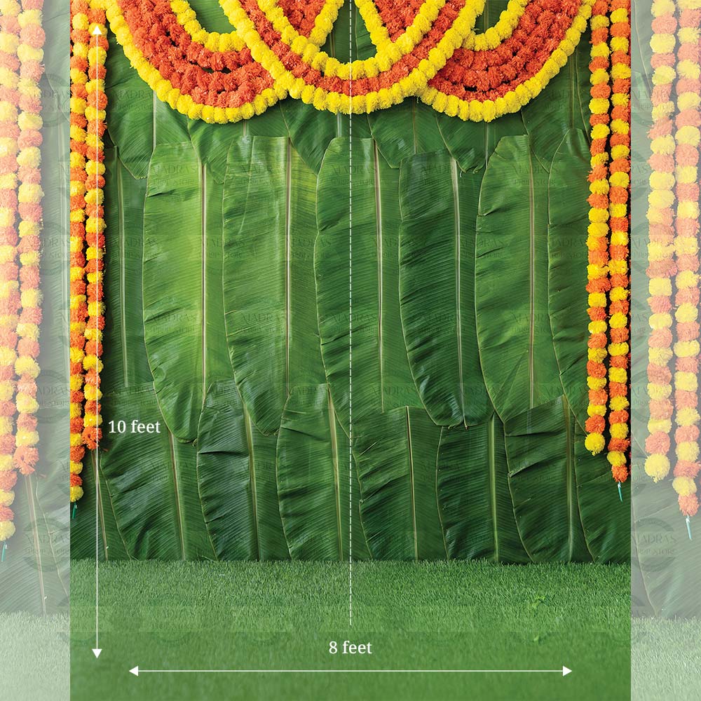 Banana Leaf Backdrop V0.1 : Maternity Backdrops