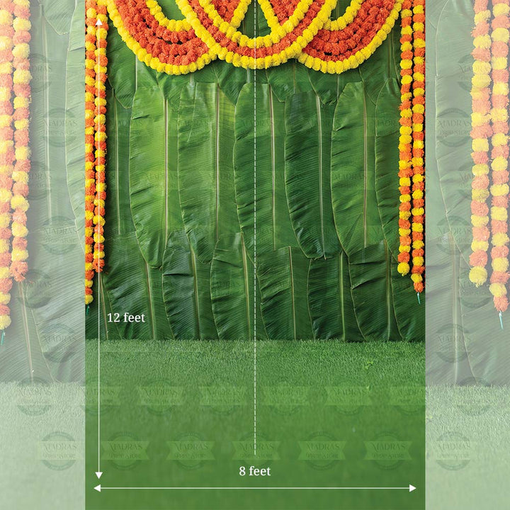 Banana Leaf Backdrop V0.1 : Maternity Backdrops