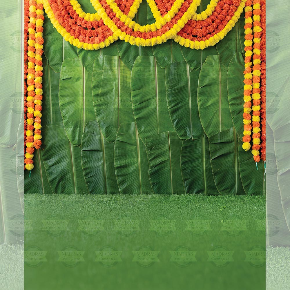 Banana Leaf Backdrop V0.1 : Maternity Backdrops