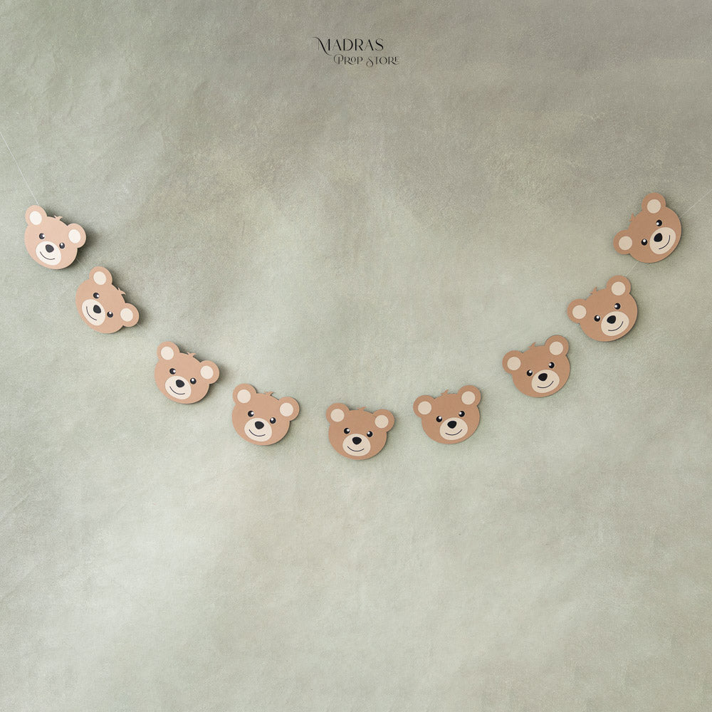Bear Buntings : Baby Props