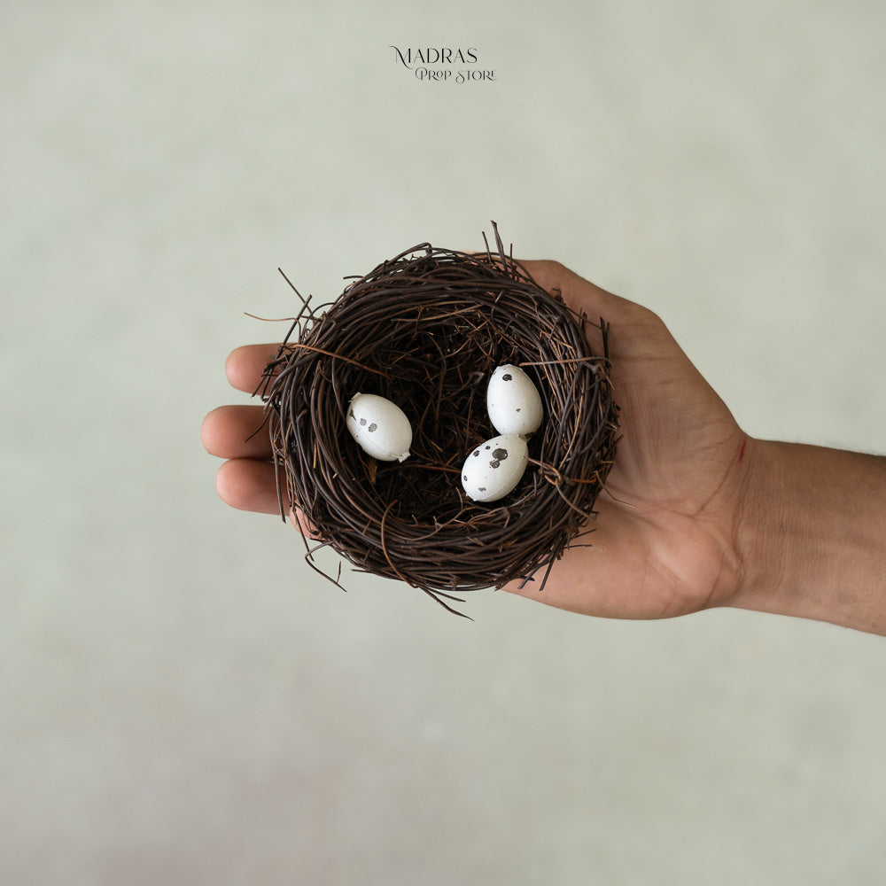 Bird Nest Prop | Dia 10 cm : Baby Props