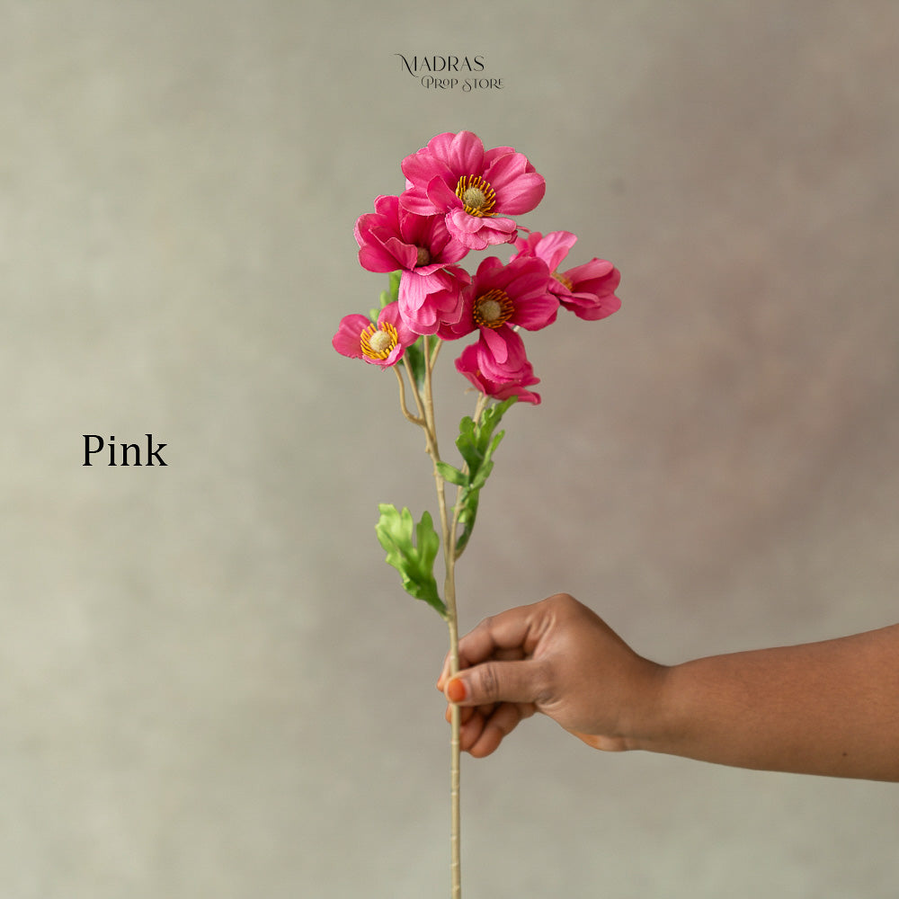 Bloom Pink : Baby Props