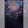 Blooms - 8 by 12 feet - Backdrop - BLR-0003